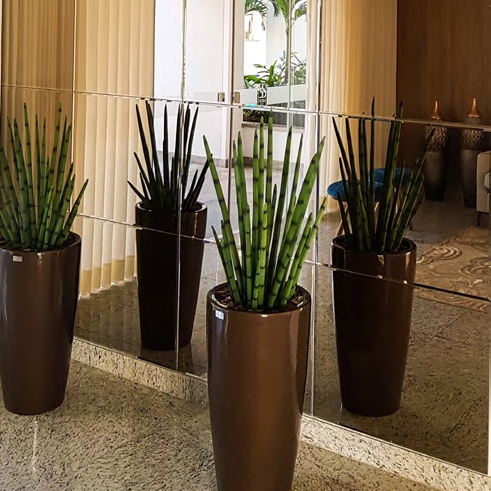 Painéis Decorativos